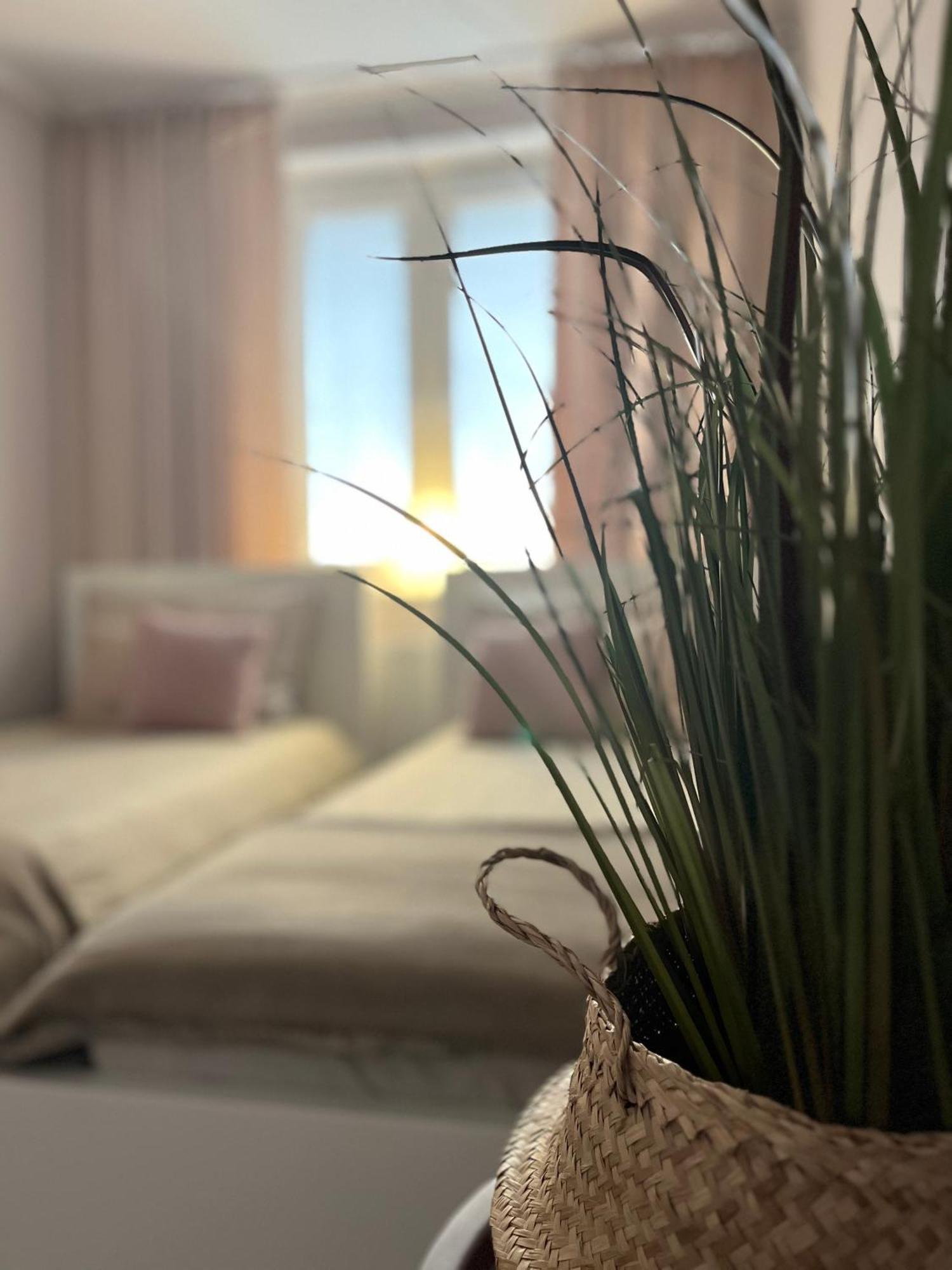 Apartment Przy Obserwatorium&singielnia